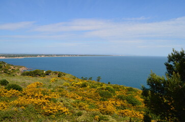 Collioure (Pyrénées Orientales - Occitanie - France) 