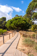 Fototapeta na wymiar Wooden path in the Lagunas de la Mata Natural Park in Torrevieja, Alicante