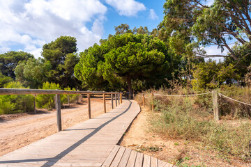 Fototapeta na wymiar Beautiful wooden path in the Lagunas de la Mata Natural Park in Torrevieja, Alicante