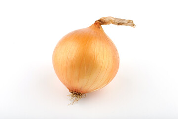 onion isolated on white background