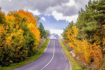 Road along an autumn forest with golden fall foliage, stretching into the distance to the misty mountains.