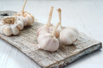Garlic Cloves and Bulb on white background 