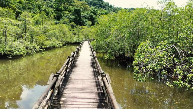 Wooden bridge in Utr&iacute;a National Natural Park.