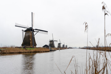 Kinderdijk Rotterdam mills during a grey day