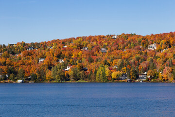 Fototapeta premium Houses nestled in colourful fall foliage on the side of a mountain overlooking a lake, Lac-Beauport, Quebec, Canada