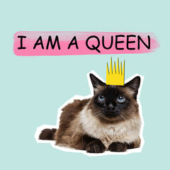 I am a queen. Contemporary art collage full body portrait of thai or Siamese cat with gold crown. Modern style pop art zine culture concept. Funny cat transformation.