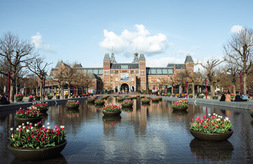 Rijksmuseum with Tulips Flowers in The Netherlands Amsterdam Holland © Peter