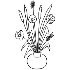 Home plant potted. Line floral doodle.
