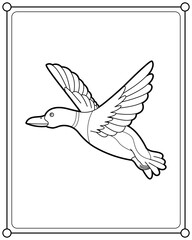 Obraz premium Flying mallard duck suitable for children's coloring page vector illustration