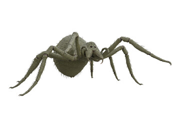 Fantasy monster giant green spider attacking prey. 3D rendering isolated.
