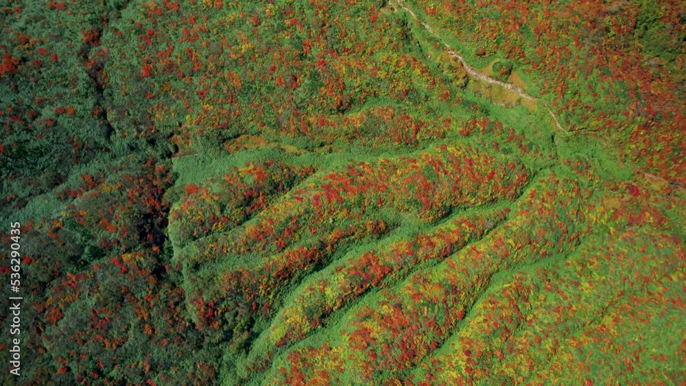 Wall mural 紅葉の栗駒山を空撮