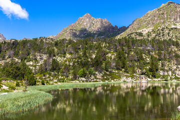 Mountain pond surrounded by forest and high mountains