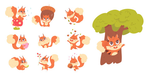 Cute active squirrel characters set, fluffy animal holding acorn, pink heart, berry plant