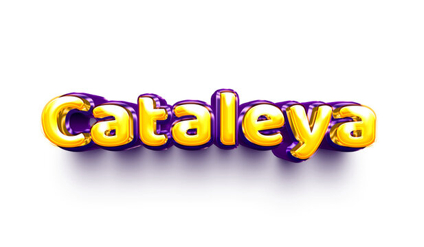 names of girls English helium balloon shiny celebration sticker 3d inflated Cataleya