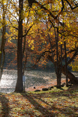 池のある秋の公園
