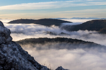 Niebla