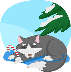 Winter landscape with a sleeping wolf holding a Christmas candy. Holiday illustration with fir branches covered with snow and cartoonish animal. 