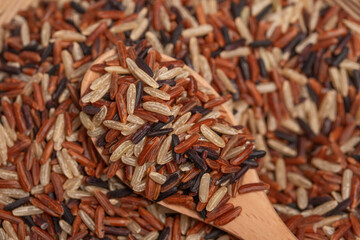 Three colors of Thai jasmine rice. High mineral rice, healthy food.