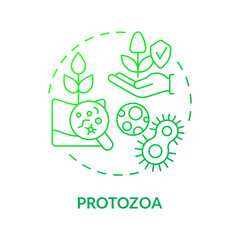 Protozoa green gradient concept icon. Agricultural microbiology abstract idea thin line illustration. Regulate bacterial population. Isolated outline drawing