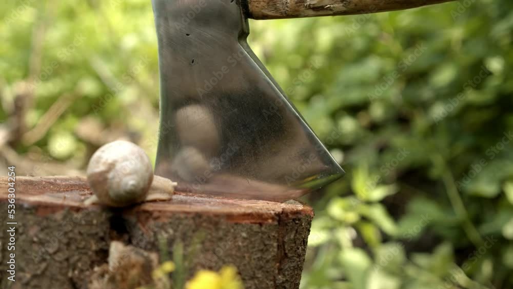 Poster hitting a tree stump with an axe, two snails resting on the stump - close up