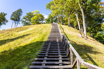 Wooden stairs going up on the hill and forest