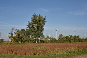 Windpark nächst Prellenkirchen in Niederösterreich, Österreich, 06.10.2022