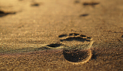 Child's footprint in the sand on the beach in the morning light