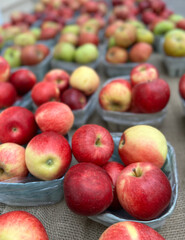 Baskets of freshly harvested apples at a roadside stand in New York.