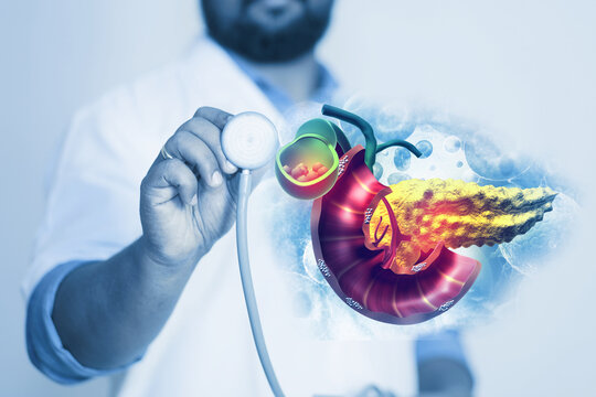 Doctor check and diagnose the human pancreas on blurred background. 3d illustration