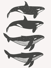 Orca with whale set