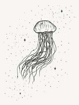 Jellyfish with stars