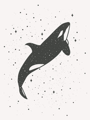 Silhouette of orca with stars