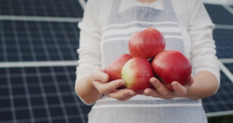 A farmer holds several red apples in his hands against the backdrop of solar panels behind him