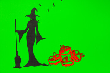 Halloween Witch on the green screen background.
