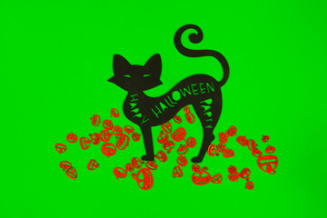 Halloween Pumpkins and Black cat on the green screen background.