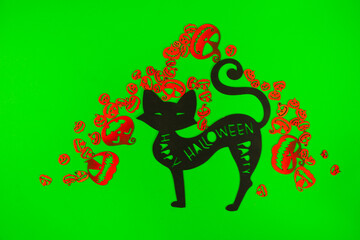 Halloween Pumpkins and Black cat on the green screen background.
