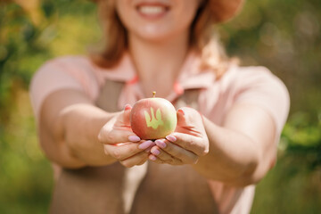 Happy smiling female farmer worker crop picking fresh ripe apples with Emblem of Ukraine in orchard garden during autumn harvest. Harvesting time