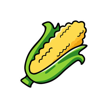 Colorful cartoon illustration of a corn on white background. Vector
