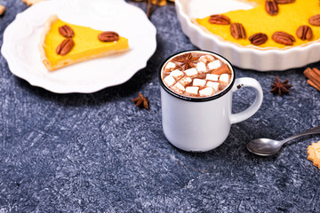 Hot chocolate cocoa drink and homemade pumpkin pie