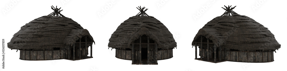Poster Round shaped medieval building with thatched roof. 3D rendering with 3 views isolated.