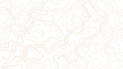 Background of the topographic map. Topographic map lines, contour background. Geographic abstract grid. vector illustration.