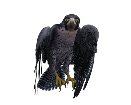 Peregrine Falcon Standing On Perch. 3D Illustration Isolated.