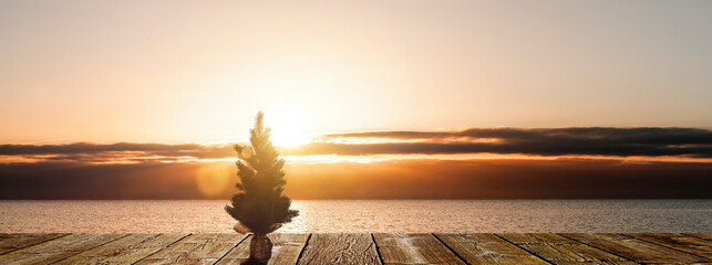 Kleiner Weihnachtsbaum am Strand