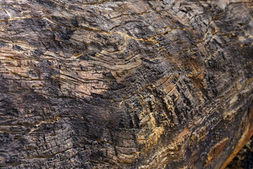 Old timber textures have burn marks and cracks.