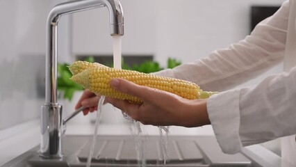 Young woman washes fresh yellow corn on the cob under water in the sink in the kitchen at home. Hands washing organic natural farm vegetables, food preparation. Corn season, slow motion footage - Powered by Adobe
