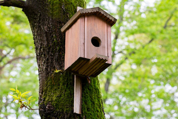 close-up Bird house on a tree. Wooden birdhouse, nesting box for songbirds in park.