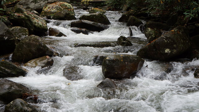 Jacobs Creek, NC