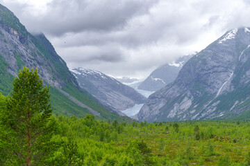 Fototapeta na wymiar nigardsbreen glacier