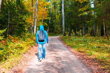 A young male hiking with a backpack.Man walks along the autumn forest path way.A healthy lifestyle in nature.Rear view.