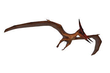 Pterandodon dinosaur in flight hunting. 3D illustration isolated.